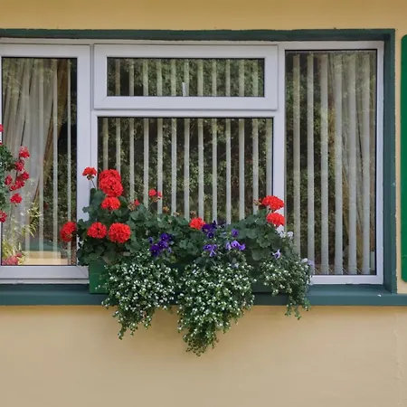 Affittacamere Danabel